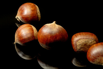 黒背景の栗