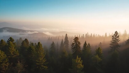 Obraz premium misty forest scene with mountains and pine trees in the background
