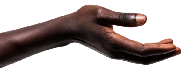 PNG Finger adult hand person.