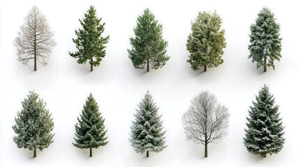 Conifer Trees collection of green Christmas trees on a white background isolated. Generative AI