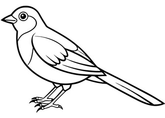 High-Quality Bluebird Vector