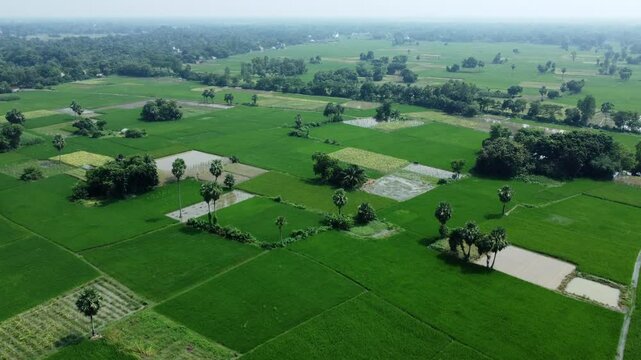 Ariel view shot of West Bengal flood by river Damodar and Mundeshwari in rainy season.