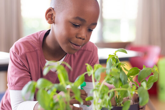 In school, african american boy watering plants and learning about gardening in classroom