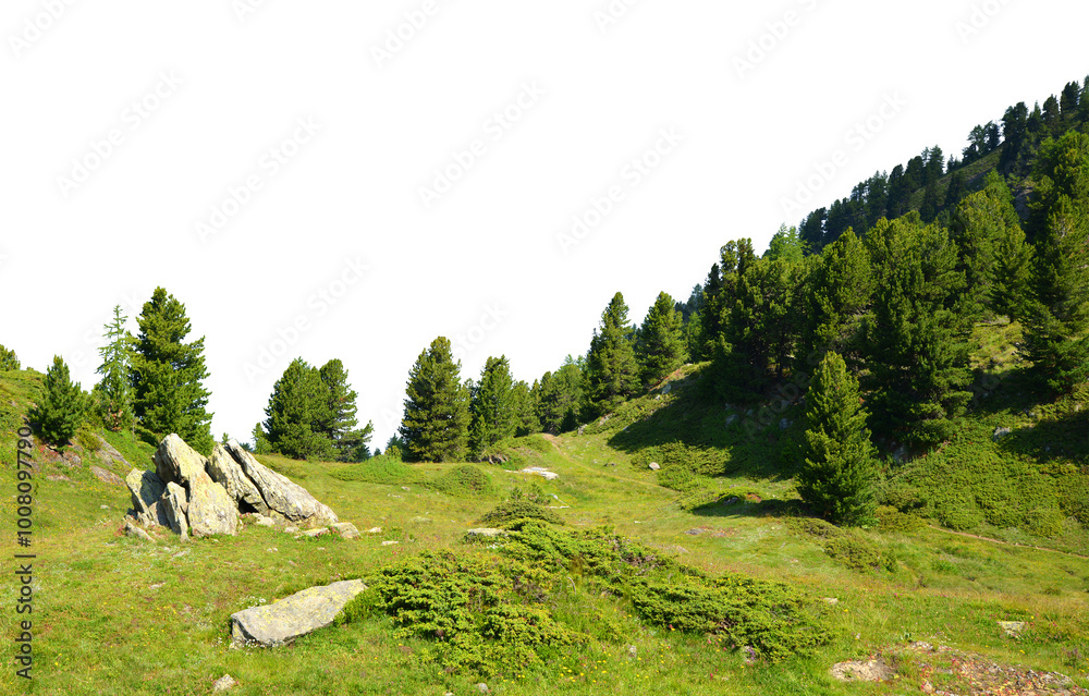 Wall mural mountain meadow with trees isolated on a transparent png background.