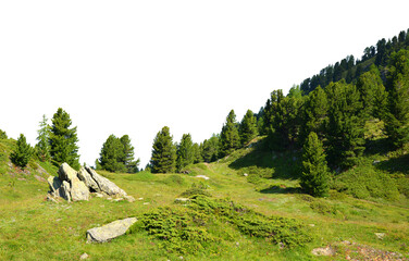 Mountain meadow with trees isolated on a transparent PNG background.