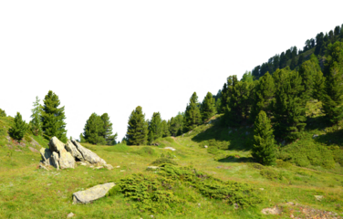 Mountain meadow with trees isolated on a transparent PNG background.