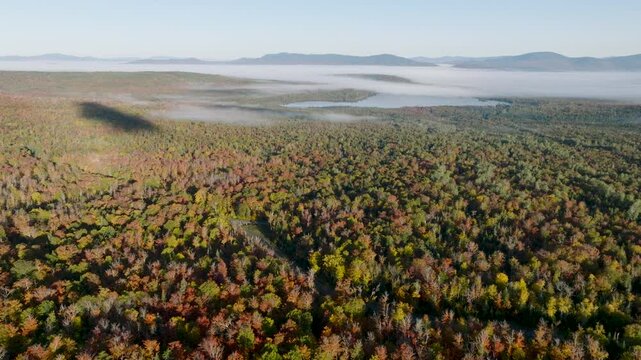 Scenic aerial view of autumn forest and Saddleback Lake in Rangeley Maine region