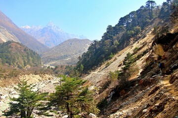 kanchenjunga base camp / circuit trek