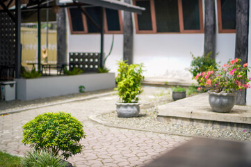 terrace with flowers