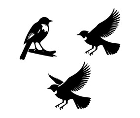 set of silhouettes of birds