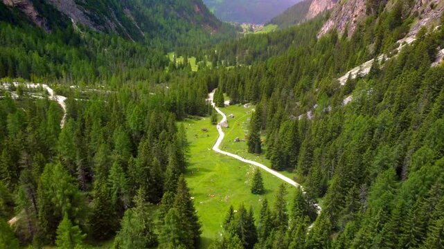 Wooded Valley In The Alps Of Vallunga, South Tyrol, Italy - Aerial Shot