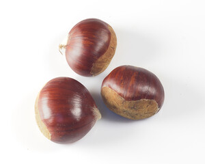 3 chestnuts isolated on white background. Autumn fruits concept