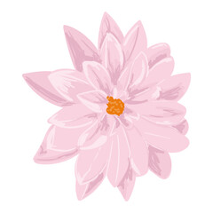Hand Drawn Spring Flower Elegant Illustration