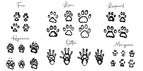 Hand drawn wild animals foot prints