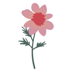 Hand Drawn Flower Illustration