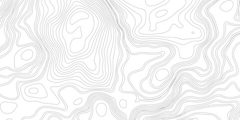 Background of the topographic map. Topography background. Vector geographic contour map.