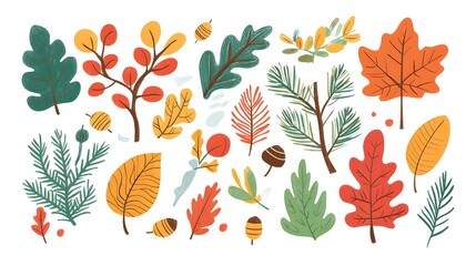 Autumn leaves, acorns, and evergreen branches vector illustration on a white background. Flat cartoon design of fall season elements for a greeting card or decoration.