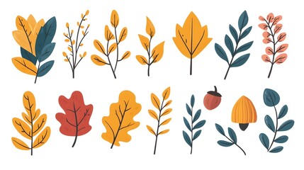 Fototapeta premium Autumn leaves, acorns, and evergreen branches vector illustration on a white background. Flat cartoon design of fall season elements for a greeting card or decoration.