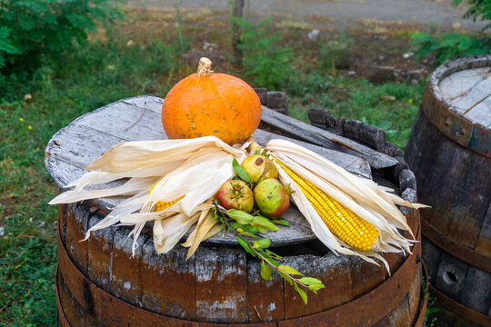 A pumpkin, two ears of corn, apples and a branch with leaves lie on an old oak barrel