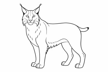 Lynx Line Art Vector