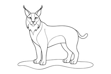 Lynx Line Art Vector
