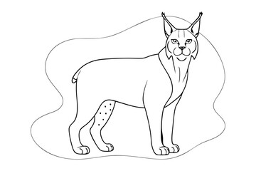 Lynx Line Art Vector