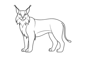 Lynx Line Art Vector