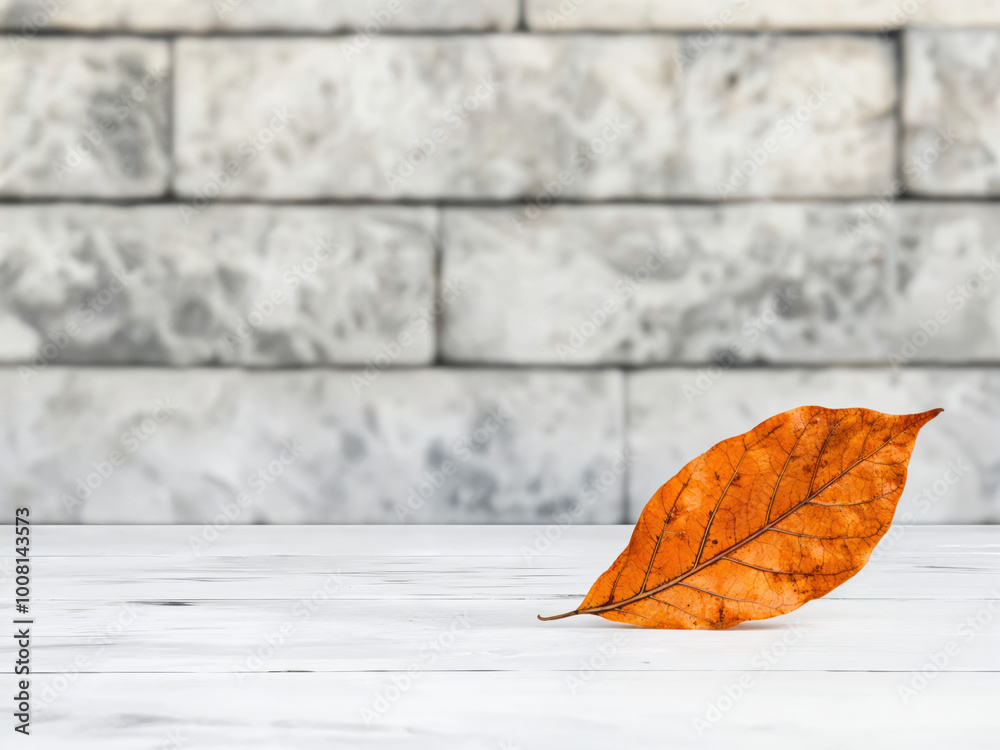 Poster single orange leaf lying on empty white table with brick background