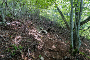 Hiking on Mountain Daibosatsu in Japan