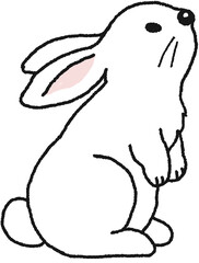 토끼