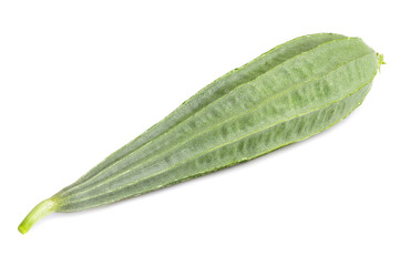 fresh luffa acutangula isolated on white background