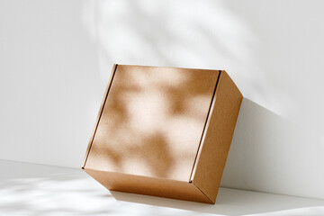 Simple brown cardboard box positioned on a white surface with soft angled shadows in natural light