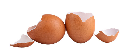 Separated eggshell on a white background.