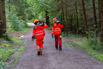 Three lumberjacks with orange high visibility clothing, helmet, ear protection and chainsaw walking on gravel road of forest on an autumn day . Photo taken October 2nd, 2024, Zurich, Switzerland.