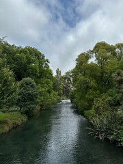 Fototapeta premium River in between tree in English Garden, Christchurch, New Zealand
