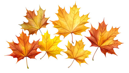 Yellow, Orange, and Red Autumn Maple Leaves Isolated on Transparent PNG Background