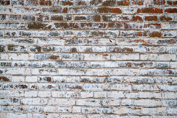 Brick wall Background of the wall