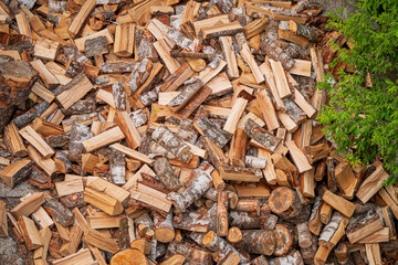 Preparing firewood for upcoming cold winter
