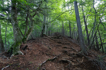 Hiking on Mountain Daibosatsu in Japan