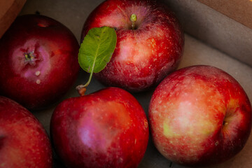 A close-up of ripe red apples, with one featuring a bright green leaf. The apples display a natural sheen, showcasing their freshness and vibrant colors