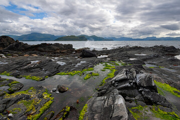 A tranquil coastal landscape showcases dark rocks and lively green seaweed, set against a backdrop...