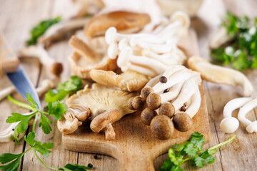 assortment of various mushrooms, chanterelle,shiitake...