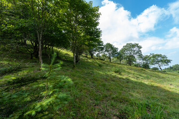 Hiking on Mountain Daibosatsu in Japan