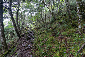 Hiking on Mountain Daibosatsu in Japan