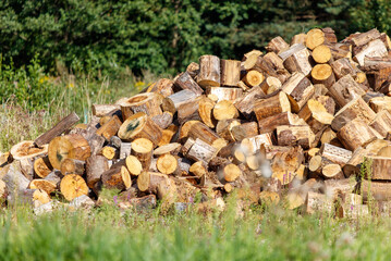 A pile of wood logs is stacked in a field
