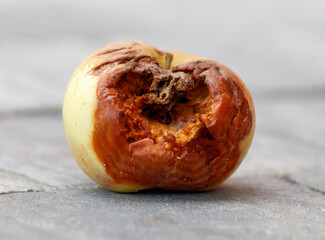 A rotten apple with a bite taken out of it