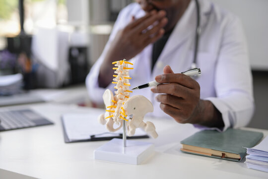 Doctor is using an anatomical model of the spine to explain a diagnosis to a patient