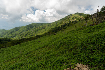 Hiking on Mountain Daibosatsu in Japan