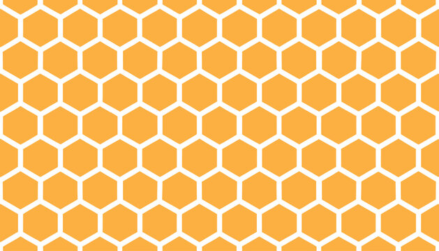 bee Honeycombs Pattern. Seamless background honeycombs. vector illustration