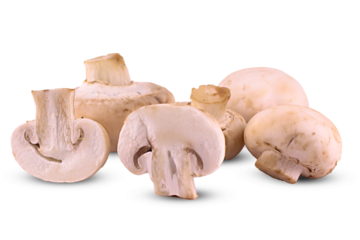 Delicious champignon mushrooms cut out, Champignon mushroom isolated 